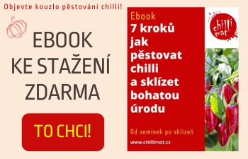 KROK ZA KROKEM CELÝM PĚSTEBNÍM ROKEM