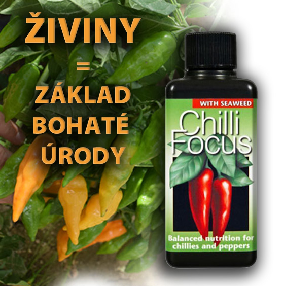 Hnojivo na chilli papričky