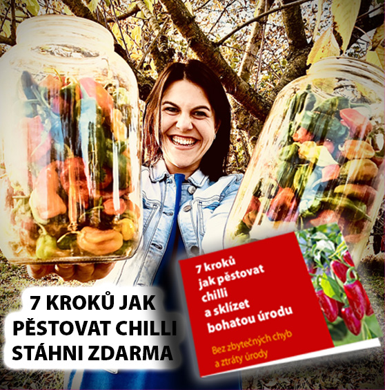 Ebook zdarma - 7 kroků jak pěstovat chilli od semínek po bohatou úrodu