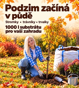 Podzimní výsadba stromků, péče o trávník a nové trvalky