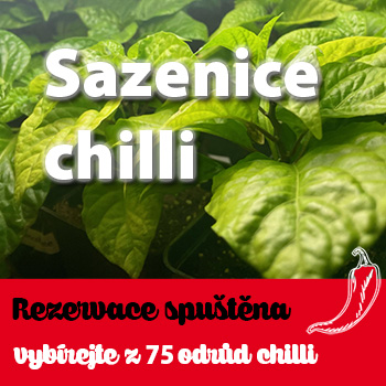 Sazenice chilli - REZERVACE