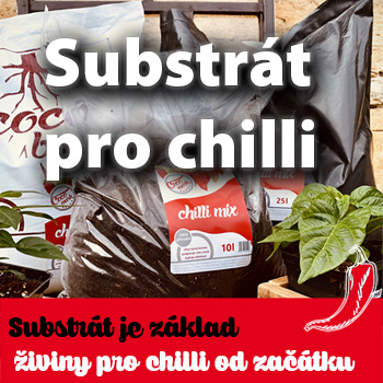 Substrát pro chilli papričky