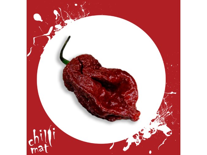 7 pot chocolate sama