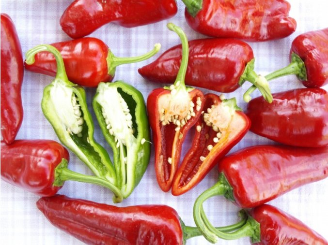 Sazenice Chilli Pimientos de Padrón  5000 - 80 000 SHU