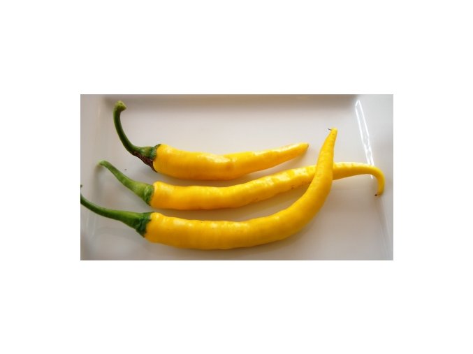 chilli cayenne yellow