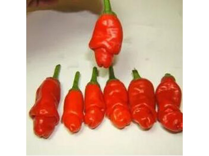 penis red Red Hot Peter Pepper Seeds Vegetables Seed Most Funny Peppers