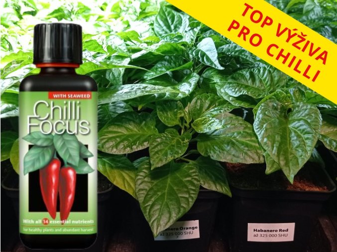 Hnojivo na chilli (2)
