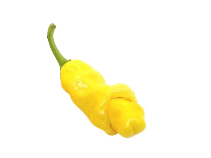 Peter Penis Yellow chilli