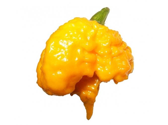chili seeds carolina reaper yellow