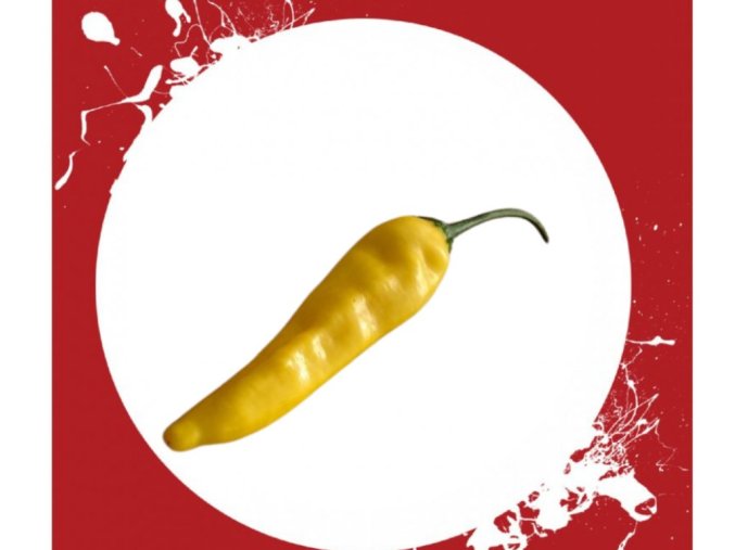 Sazenice Chilli Aji Pineapple 1 ks