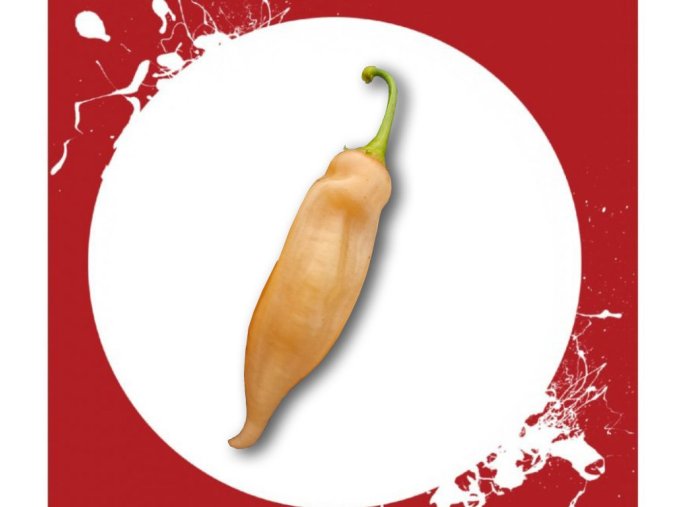 3794 1 sugar rush peach