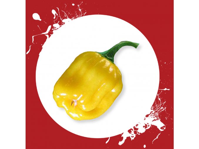 Sazenice a semínka chilli Habanero yellow