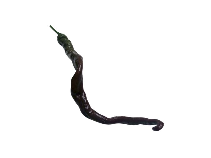 Thunder Cacho Brown