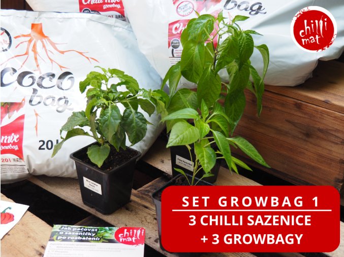 Chilli set growbag 1 (1)