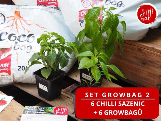 Chilli set growbag 2 (1)