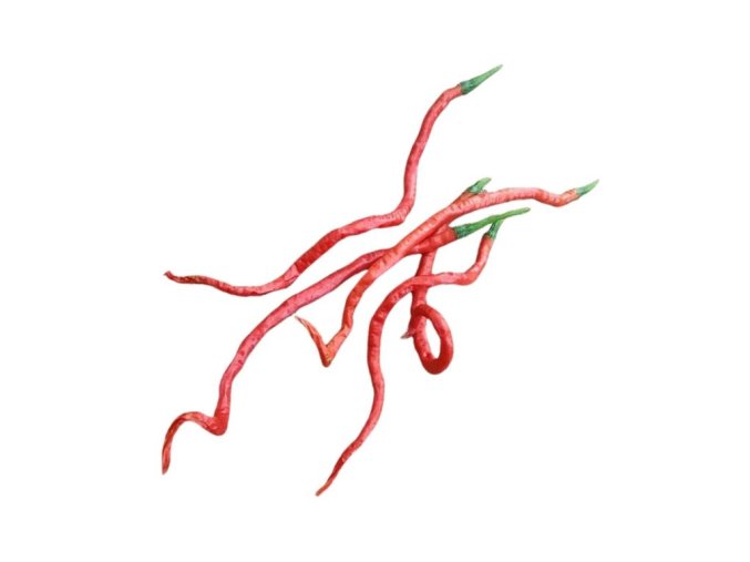 Long horn chilli chillimat