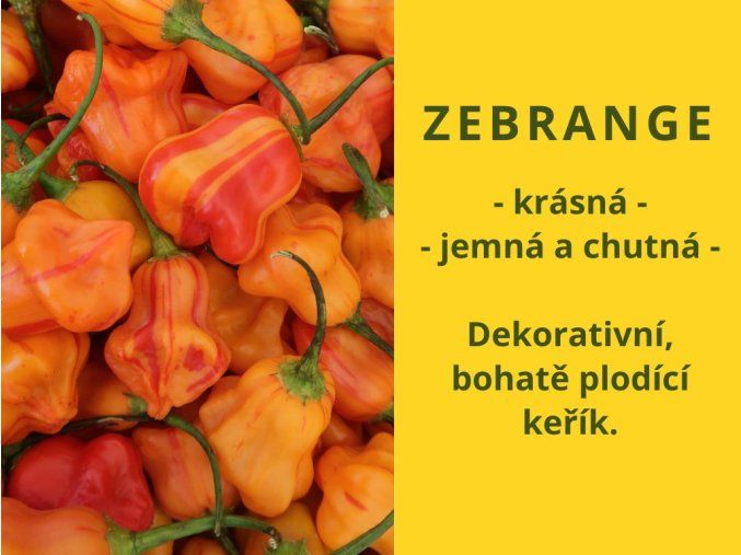 Chilli zebrange