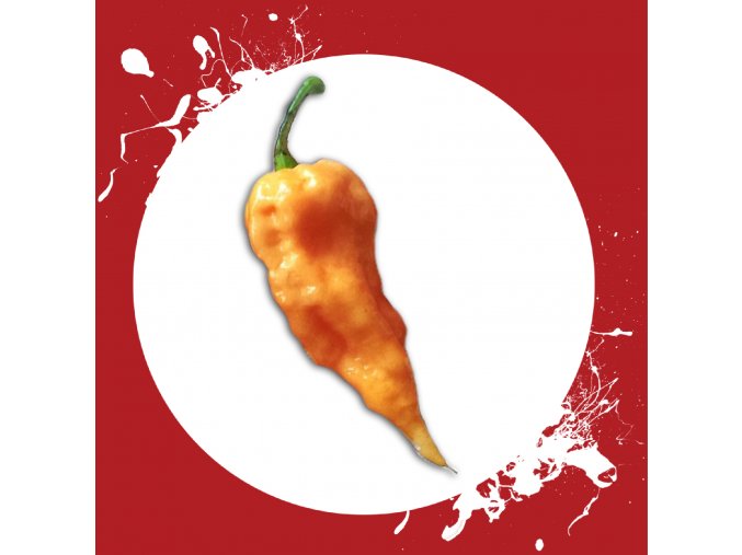 Sazenice a semínka chilli Bhut jolokia peach