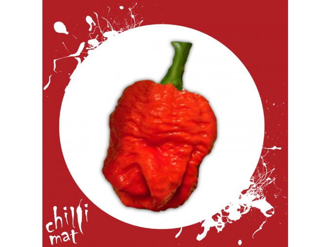 Sazenice a semínka chilli Trinidad Scorpion Moruga Red