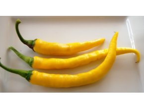 chilli cayenne yellow