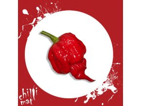 Chilli Semínka a sazenice Trinidad Scorpion Butch Taylor