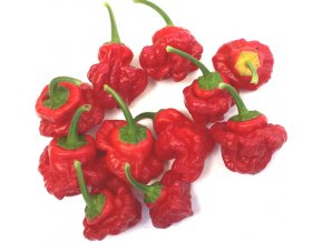 habanero tasmanian