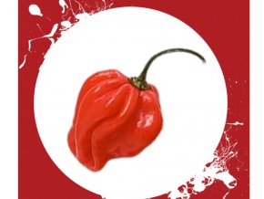 Scotch bonnet uvod