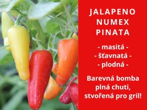 Jalapeno numex pinata