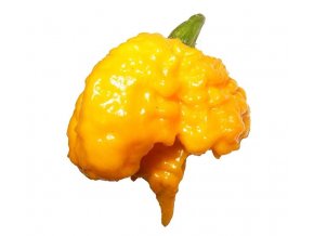 chili seeds carolina reaper yellow