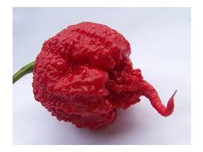 Chilli semena Carolina Reaper HP22B 10ks