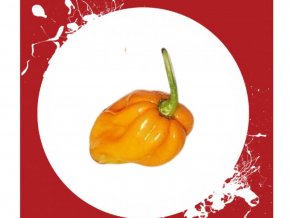 3824 habanero big sun