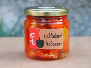 P1011582