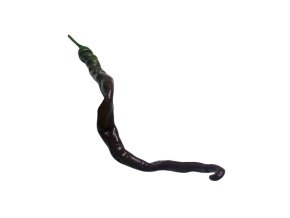 Thunder Cacho Brown