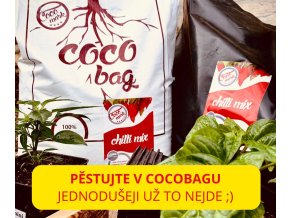 Chilli mix susbrát pro sazenice