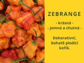Chilli zebrange