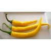 chilli cayenne yellow