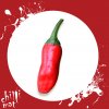Sazenice a semínka chilli Ethiopian red