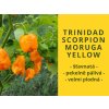 Chilli tirnidad scorpion moruga yellow 1