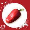 Sazenice a semínka chilli Jalapenos