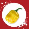 Sazenice a semínka chilli Habanero yellow
