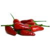 Chilli semena Tabasco 10ks