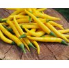 cayenne yellow papricky