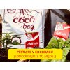 Substrát chilli papričky cocobag