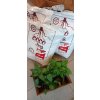 Substrát pro CHILLI - Cocomark Chilli Mix  Substrát, který vaše rostliny chilli potřebují!