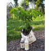 Grow+leafcoat