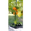 GROWBAG - Substrát pro chilli papričky - CHILLI MIX  skvělý pro chilli i sladké papriky, vše pro květ i bohatou úrodu