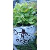 GROWBAG - Substrát pro chilli papričky - CHILLI MIX  skvělý pro chilli i sladké papriky, vše pro květ i bohatou úrodu