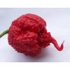 Chilli semena Carolina Reaper HP22B 10ks