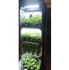 SunPro TLED Grow 26W/ 54cm, na růst  DOPORUČUJEME - MY POUŽÍVÁME PRO PŘEDPĚSTOVÁNÍ SAZENIC