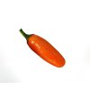 Jalapeno orange